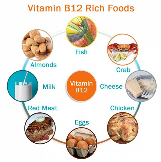 أهم الأطعمة الغنية بالفيتامين B12 لعلاج نقصه صورة رقم 1