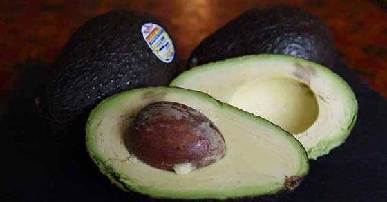 أطعمة تحمي كبدك من الأمراض صورة رقم 2