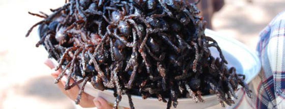  صور أغرب وأخطر الأعياد في العالم: عيد الصمت، الحشرات وضرب الجيران! صورة رقم 4