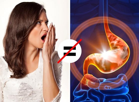 معلومات ومفاهيم خاطئة وما يقابلها من الحقيقة عن صحة الجسد صورة رقم 10