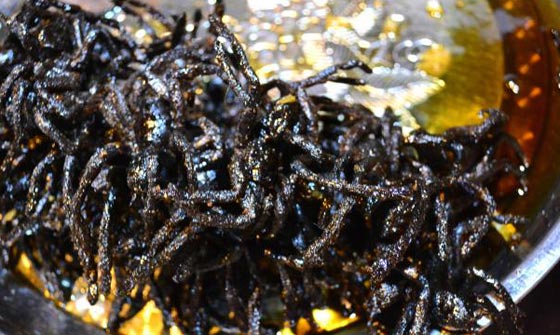 اليكم اغرب 10 اطباق حساء لن تجرؤوا على تناولها صورة رقم 10