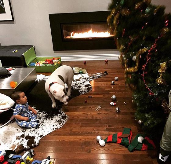 بالصور.. أخطاء افسدت احتفالات الكريسماس صورة رقم 8