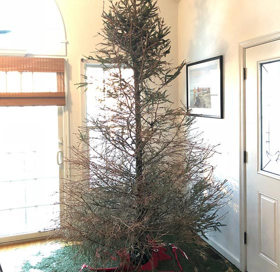 بالصور.. أخطاء افسدت احتفالات الكريسماس صورة رقم 9