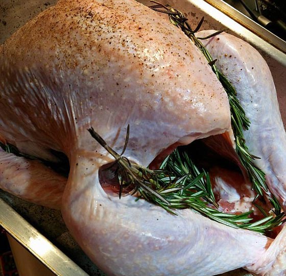 بالصور.. أخطاء افسدت احتفالات الكريسماس صورة رقم 20