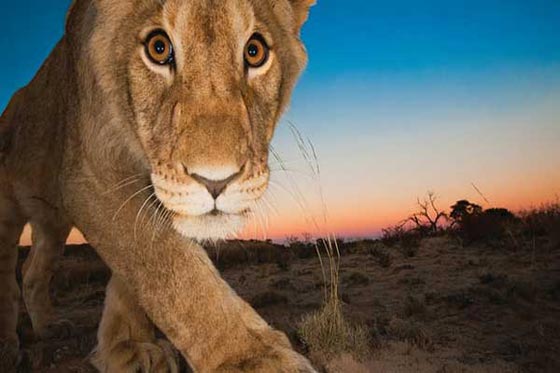 بالصور.. اهم التطورات والحوادث العلمية لعام 2017 صورة رقم 4