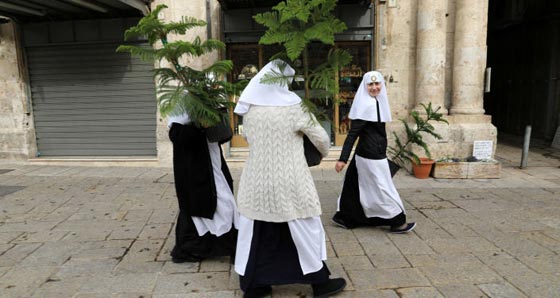  أروع صور: زينة أشجار عيد الميلاد حول العالم وقصة شجرة الميلاد صورة رقم 6