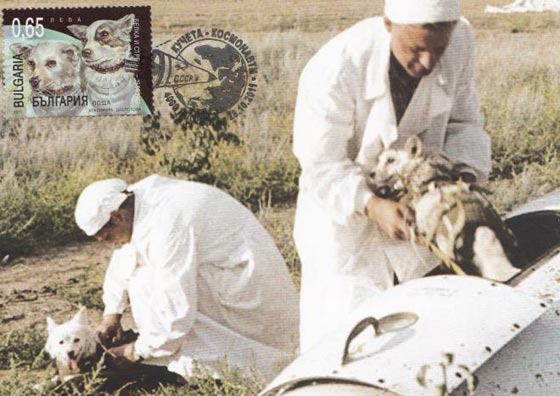 تعرفوا على حيوانات أثرت في حياة البشر بطرق غريبة صورة رقم 5