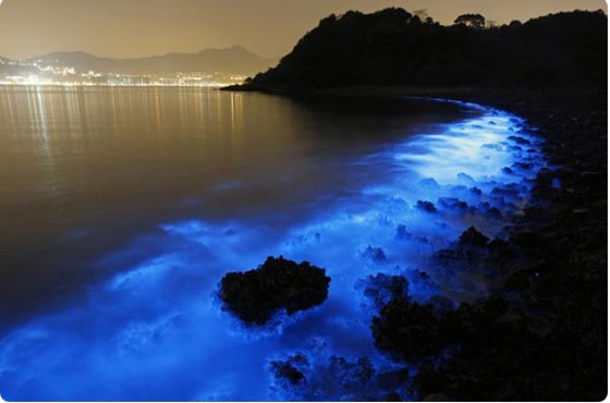 بالصور: ظواهر غريبة غامضة قد لا يصدقها عقل حدثت على كوكب الأرض صورة رقم 3