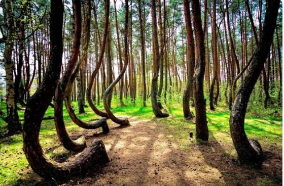 بالصور: ظواهر غريبة غامضة قد لا يصدقها عقل حدثت على كوكب الأرض صورة رقم 4