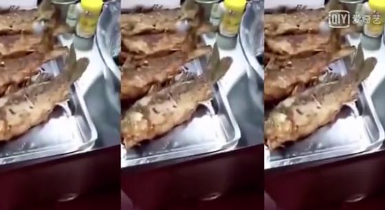 فيديوغريب.. سمكة مقلية تعود للحياة وتتحرك على طبق الاكل! صورة رقم 2