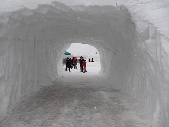 بالصور.. مشاهد غريبة لا تحدث الا في فصل الشتاء  صورة رقم 5