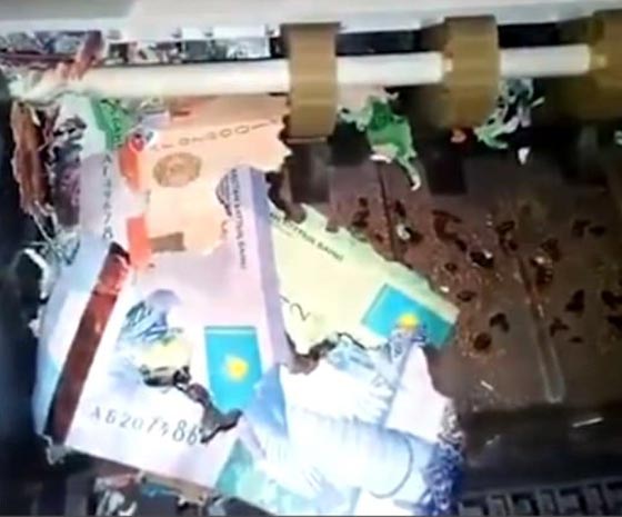 بالفيديو والصور.. اعتقال فئران التهموا أموالا  داخل الة النقود بالبنك صورة رقم 4