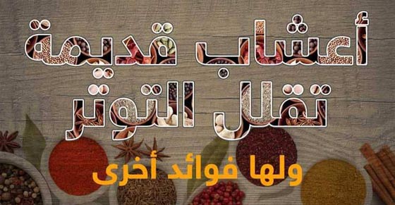 هذه الأعشاب القديمة بدائل لأدوية التوتر صورة رقم 1