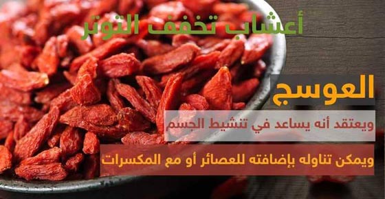 هذه الأعشاب القديمة بدائل لأدوية التوتر صورة رقم 4