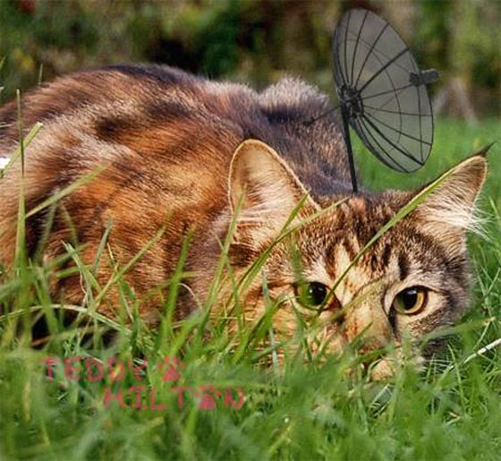  ���� ��� 2 - 7 ����� �� ����� ����������� ��������� (�� �� ��)