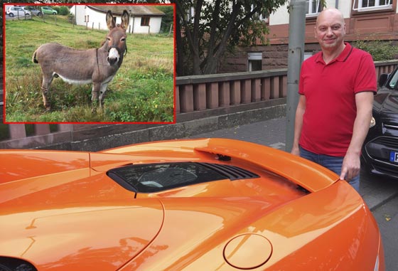 10 أحكام قضائية غريبة ضد حيوانات:محاكمة ببغاء يتحرش بالسيدات وديك ملحد! صورة رقم 2 10 أحكام قضائية غريبة ضد حيوانات:محاكمة ببغاء يتحرش بالسيدات وديك ملحد! صورة رقم 2