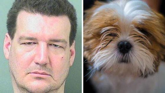 10 أحكام قضائية غريبة ضد حيوانات:محاكمة ببغاء يتحرش بالسيدات وديك ملحد! صورة رقم 3 10 أحكام قضائية غريبة ضد حيوانات:محاكمة ببغاء يتحرش بالسيدات وديك ملحد! صورة رقم 3