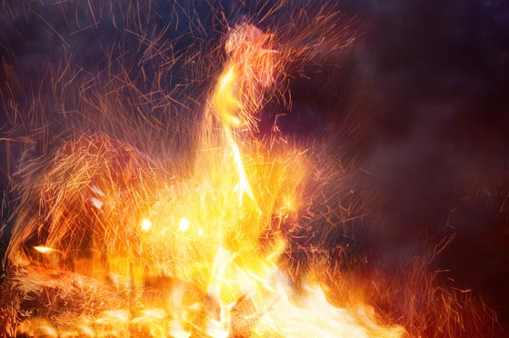 10 أحكام قضائية غريبة ضد حيوانات:محاكمة ببغاء يتحرش بالسيدات وديك ملحد! صورة رقم 9 10 أحكام قضائية غريبة ضد حيوانات:محاكمة ببغاء يتحرش بالسيدات وديك ملحد! صورة رقم 9