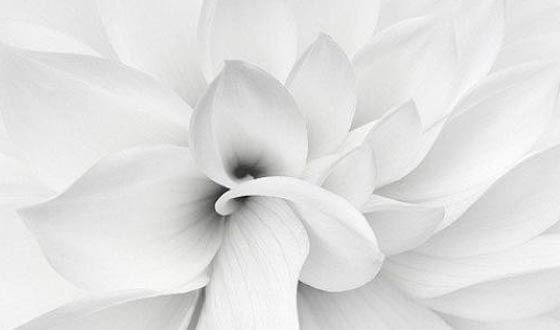  ���� ��� 3 - �� ���� �� ���� ������ ���� �����߿ ���� ����� ����� ���� ����� ���� ����!