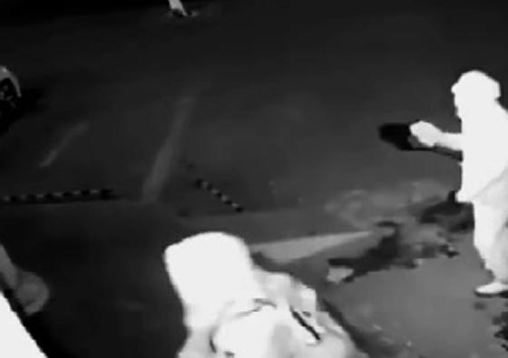 بالفيديو.. لص غبي يتسبب بإصابة زميله أثناء محاولة سرقة صورة رقم 2 بالفيديو.. لص غبي يتسبب بإصابة زميله أثناء محاولة سرقة صورة رقم 2