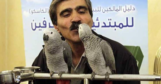 صور مدهشة.. لحظات حنان البشر مع الحيوان صورة رقم 8