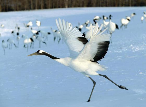  ���� ��� 1 - ����� �����: ������� ���� �� ��� ����� ������ ����� ��� ������!