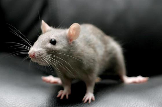  ���� ��� 3 - ����� �����: ������� ���� �� ��� ����� ������ ����� ��� ������!