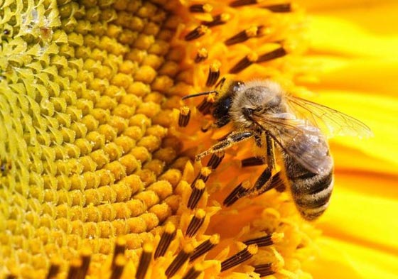  ���� ��� 4 - ����� �����: ������� ���� �� ��� ����� ������ ����� ��� ������!