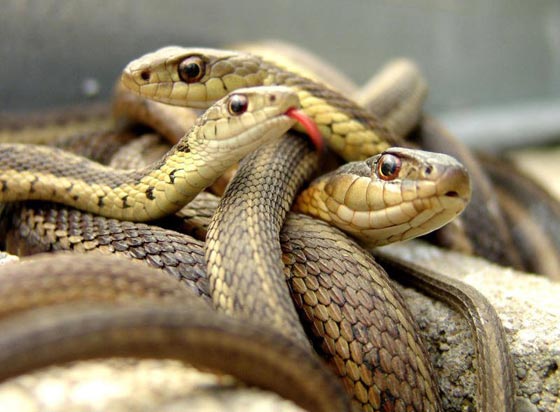  ���� ��� 5 - ����� �����: ������� ���� �� ��� ����� ������ ����� ��� ������!