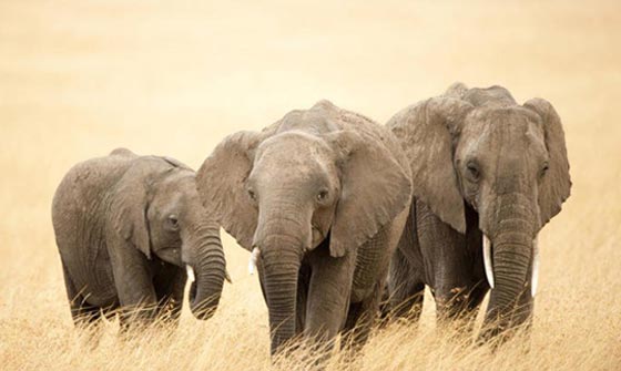  ���� ��� 6 - ����� �����: ������� ���� �� ��� ����� ������ ����� ��� ������!