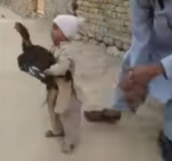 فيديو طريف: طفل يمنع والده بالبكاء والصراخ من ذبح دجاجة ويطلقها حرّة صورة رقم 1