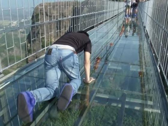 بالفيديو.. اليكم عدة أنواع الفوبيا وأكثرها شيوعا صورة رقم 1