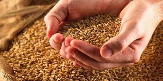 اختبارات غريبة استخدمت قديما لكشف الحمل صورة رقم 1