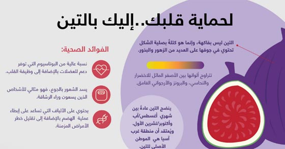 تعرفوا على الفوائد الصحية للتين وتأثيره الايجابي على صحة القلب صورة رقم 2