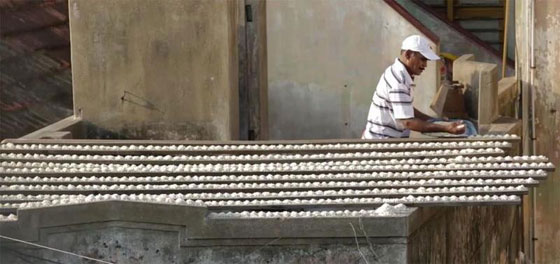 بالصور.. هندي يطعم كلّ يوم أربعة آلاف طير! صورة رقم 5