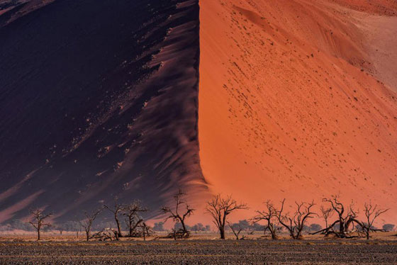 أروع الصور المرشحة لأكبر وأهم مسابقة عالميّة في التّصوير صورة رقم 4 أروع الصور المرشحة لأكبر وأهم مسابقة عالميّة في التّصوير صورة رقم 4
