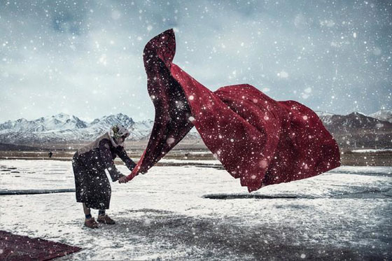 أروع الصور المرشحة لأكبر وأهم مسابقة عالميّة في التّصوير صورة رقم 23 أروع الصور المرشحة لأكبر وأهم مسابقة عالميّة في التّصوير صورة رقم 23