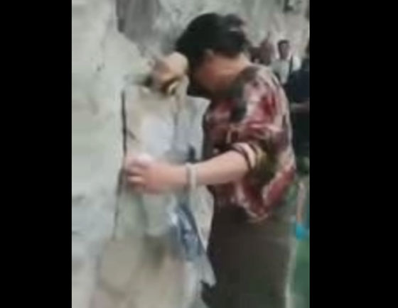 بالفيديو.. رعبٌ وبكاء أثناء عبور أطول جسر زجاجي في العالم! صورة رقم 1