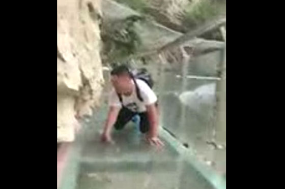 بالفيديو.. رعبٌ وبكاء أثناء عبور أطول جسر زجاجي في العالم! صورة رقم 5
