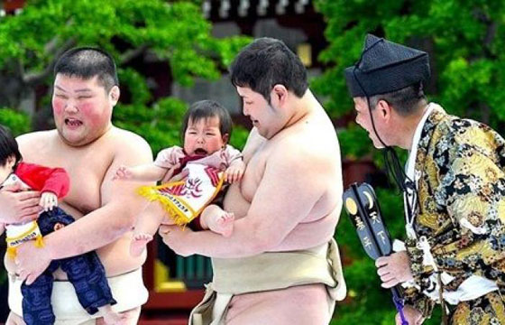 بالفيديو.. منافسة السومو الباكي الغريبة في اليابان صورة رقم 1