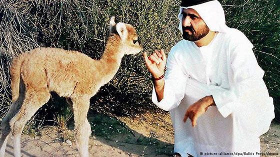 بالصور.. تعرفوا على أغرب الحيوانات الهجينة صورة رقم 4