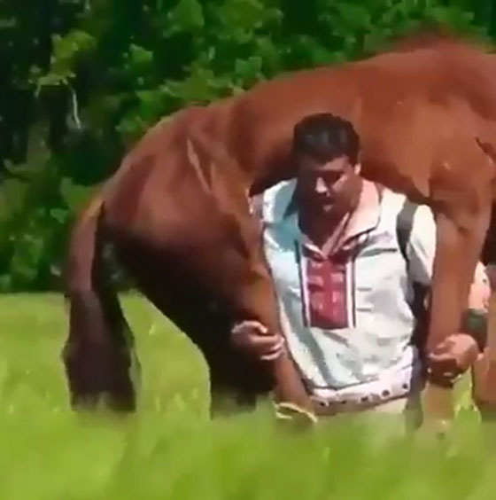 شاهد.. الرجل الخارق يحمل حصاناً ضخماً على كتفيه صورة رقم 1