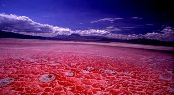 صور اجمل واغرب البحيرات حول العالم  صورة رقم 10