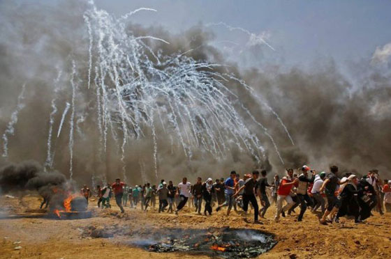 تعرفوا على ابرز احداث الاسبوع.. بالصور صورة رقم 1