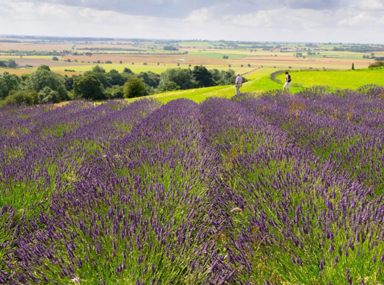 صور اجمل المناطق الرائعة في بريطانيا.. لماذا لا يفكر السائح بزيارتها؟ صورة رقم 6