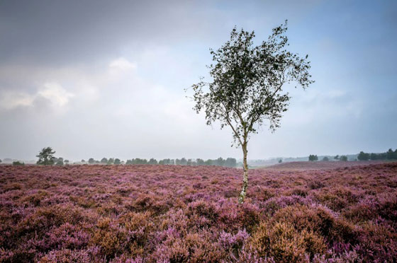 صور اجمل المناطق الرائعة في بريطانيا.. لماذا لا يفكر السائح بزيارتها؟ صورة رقم 17