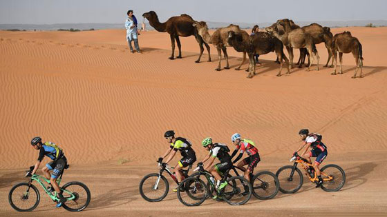 بالصور.. مواقف فريدة وطريفة من داخل الملاعب الرياضية صورة رقم 6