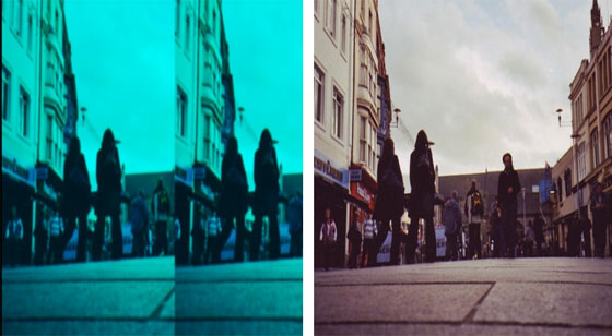 هكذا نرى الأشياء بعيون الحيوانات والحشرات صورة رقم 5 هكذا نرى الأشياء بعيون الحيوانات والحشرات صورة رقم 5