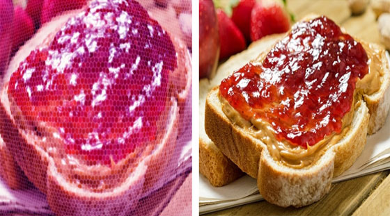 هكذا نرى الأشياء بعيون الحيوانات والحشرات صورة رقم 9 هكذا نرى الأشياء بعيون الحيوانات والحشرات صورة رقم 9