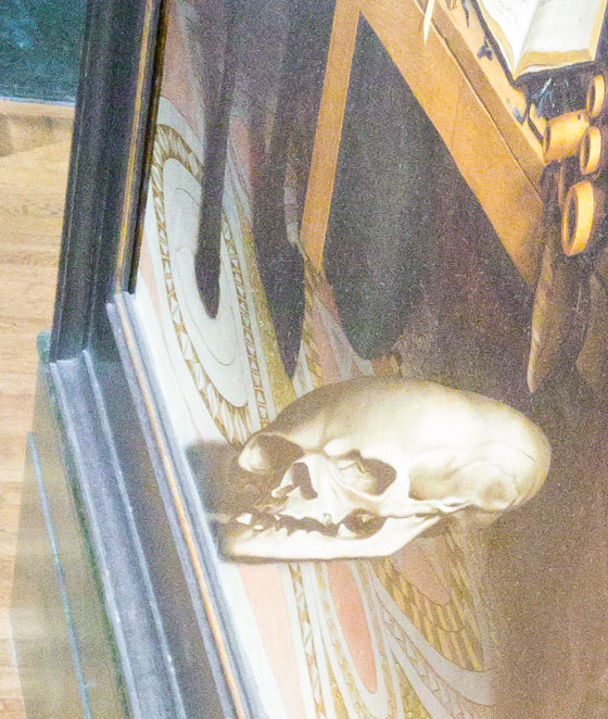 فيديو غريب.. وهم بصري يثير الجدل ما يقرب من 500 عام  صورة رقم 3